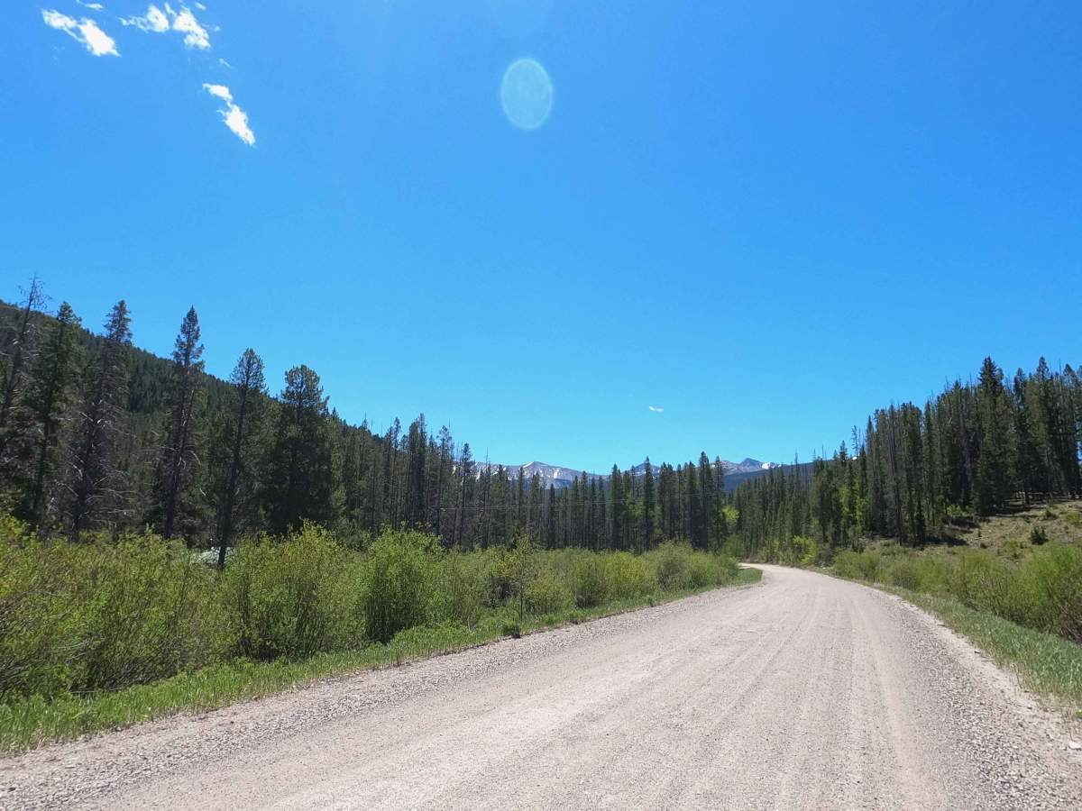 Warm Springs Creek Road 170 photo 6