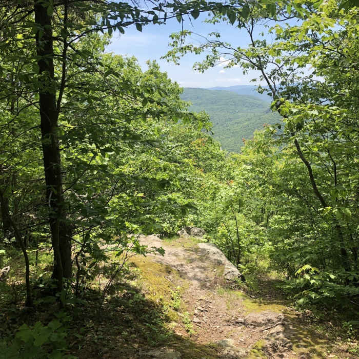 Near Bald Mountain Trail