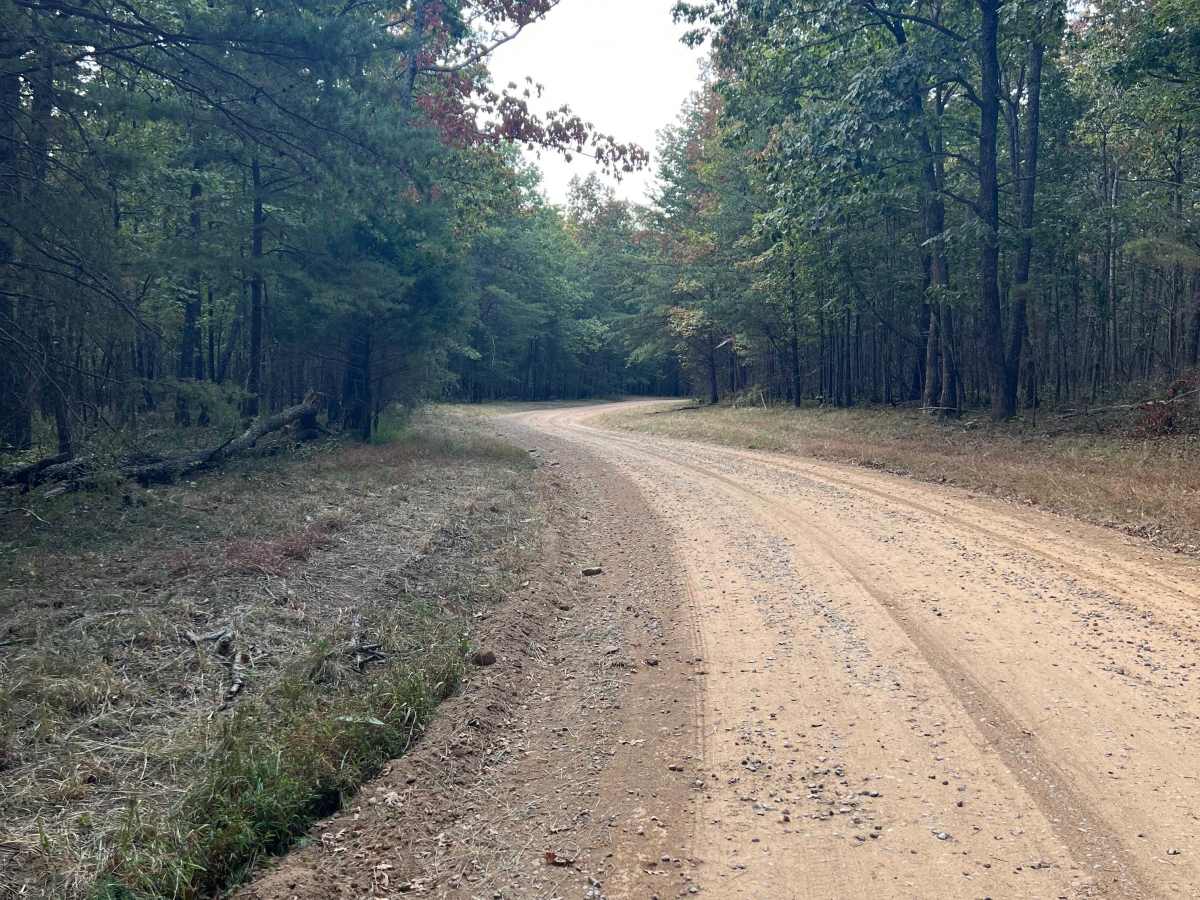 Rocktown Trail photo 4