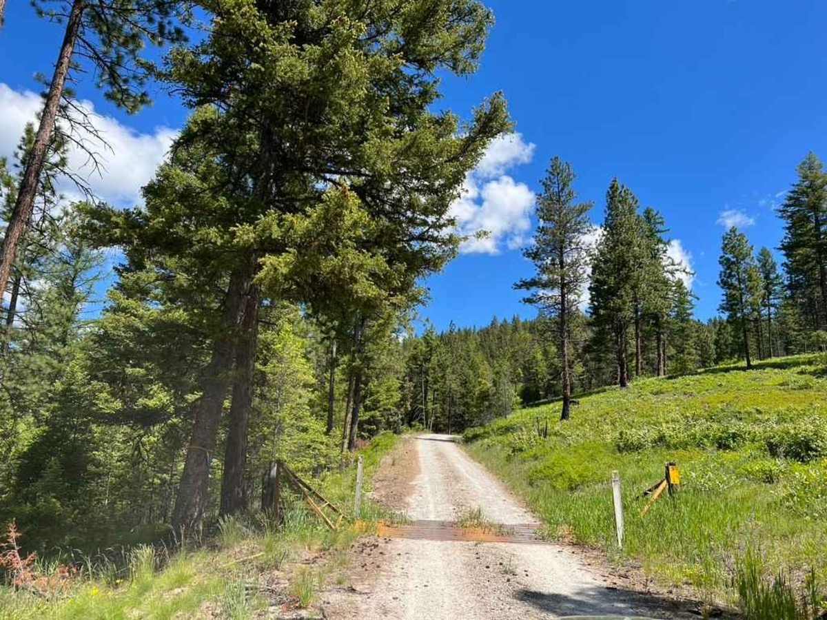 Butler Creek Loop 456 photo 5