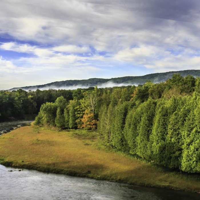 Near Manistee River Trail Loop Near Manistee River Trail Loop