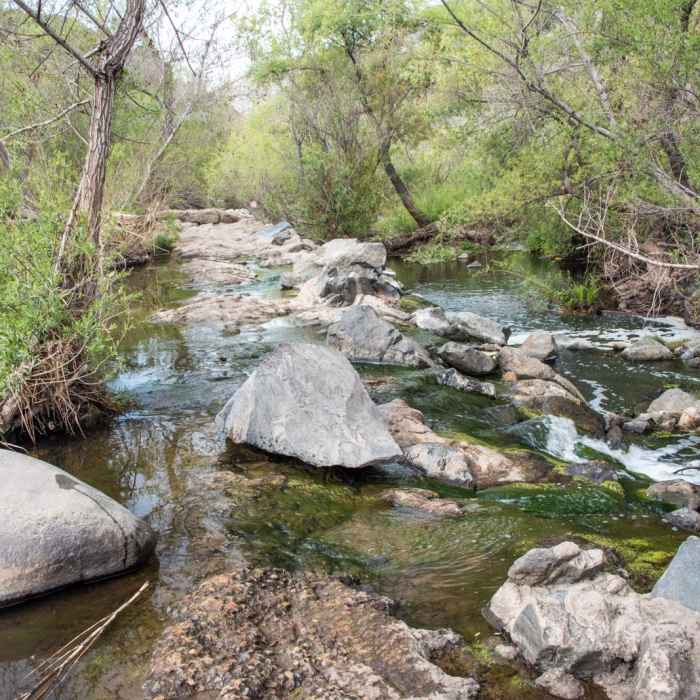 Near South Fortuna Mountain