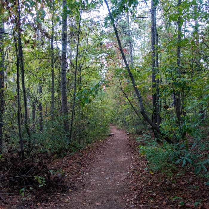 Near Sope Creek Near Sope Creek