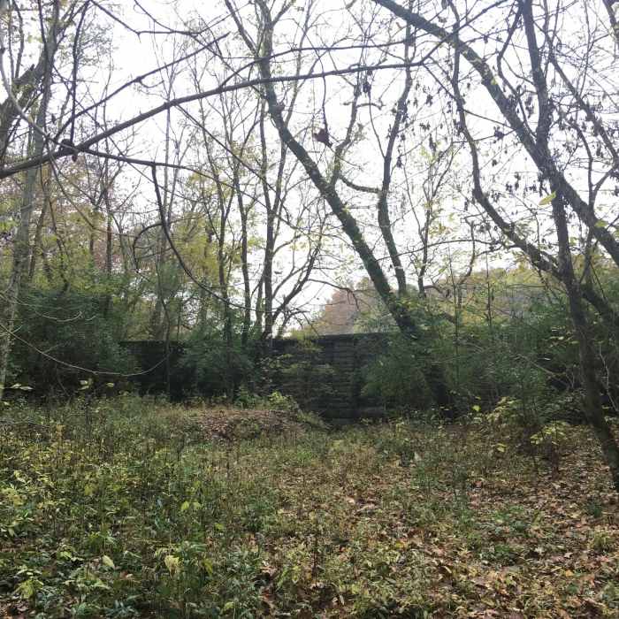 Remains of Old Mill Diversion Wall Near Carter Park Outer Loop