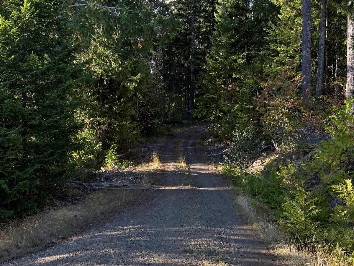 Lake Cushman View Trail photo 5