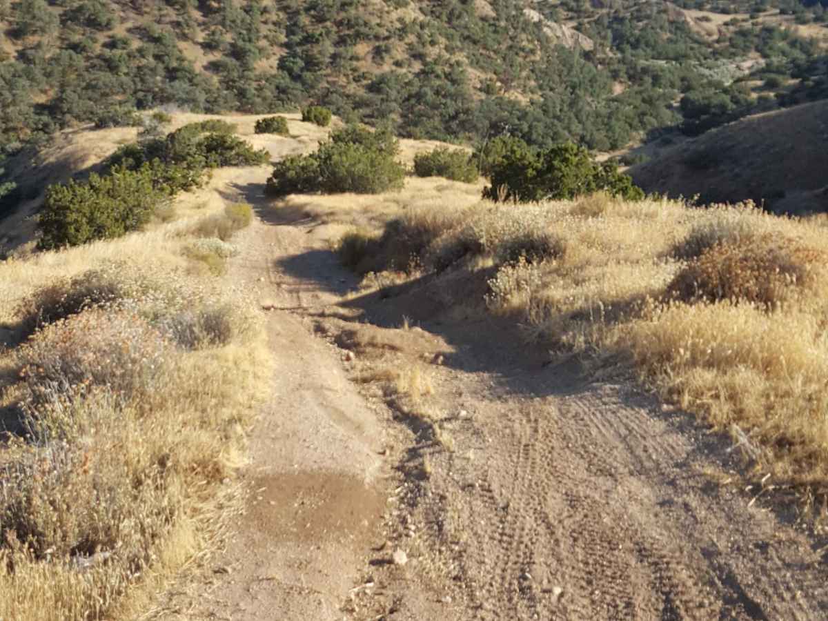 Trail 17 photo 4