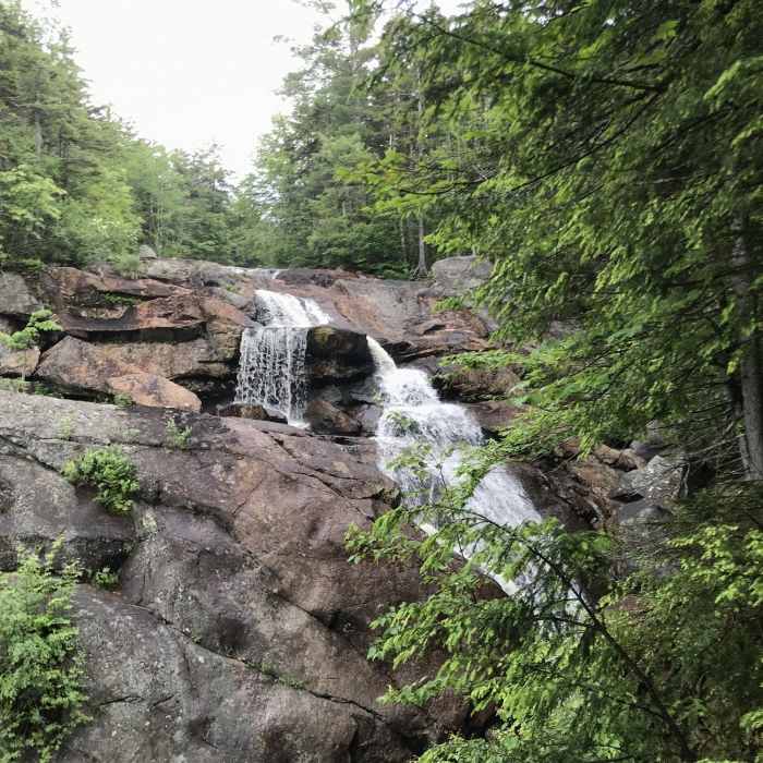 Near Georgianna Falls Trail