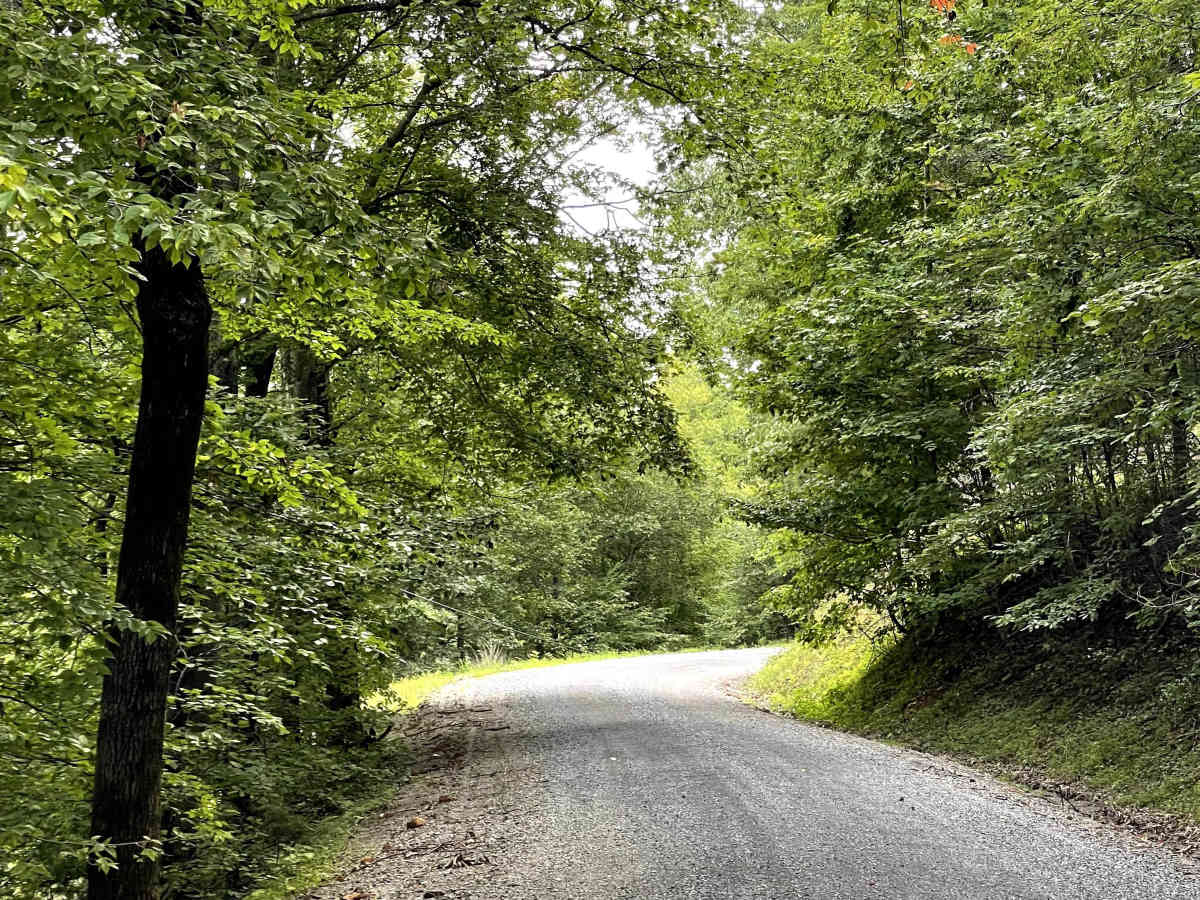 Blue Grass Trail trail photo