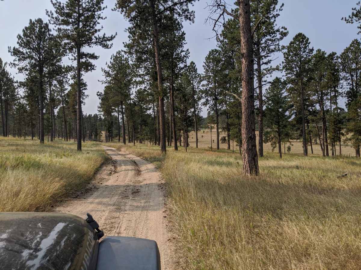 Custer Mountain Cutoff trail photo