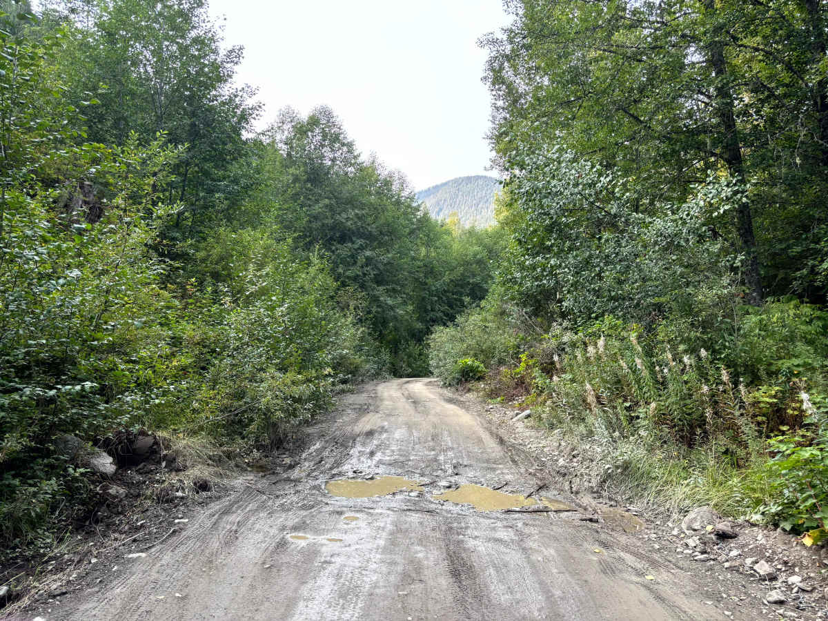 Thurston Loop photo 4