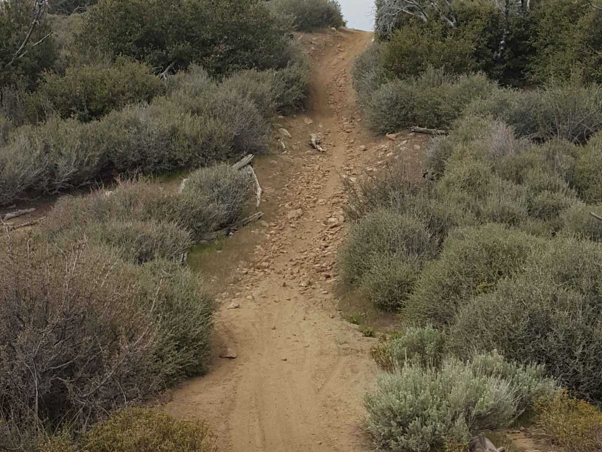 Redonda Ridge - FS 1W17 photo 5