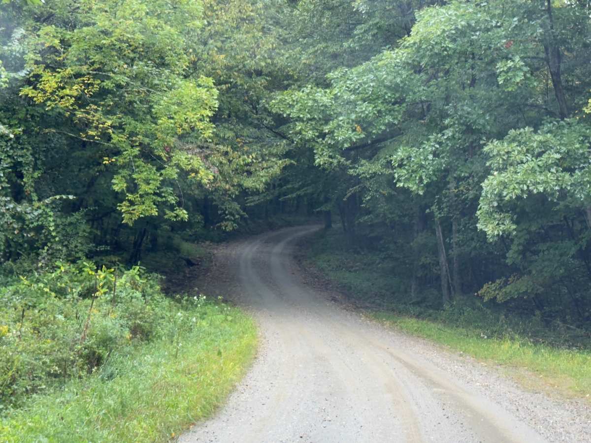 Klondike Road photo 3