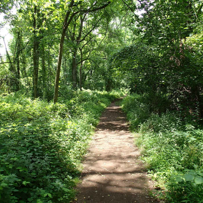Near Dennings Point Trail