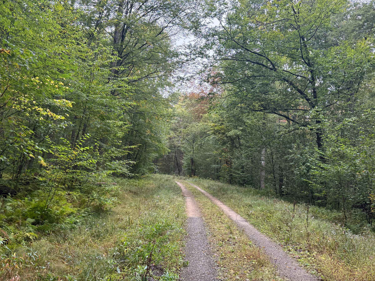 Rob's Knob - FS 204 photo 2