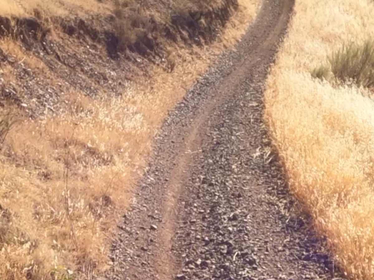 East Serpentine Trail  photo 5