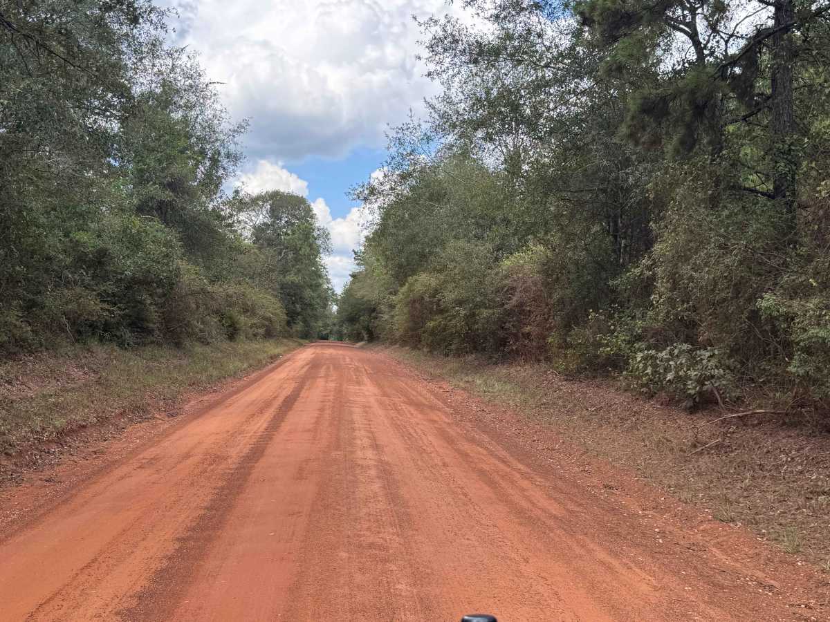 Alsobrooks Road trail photo