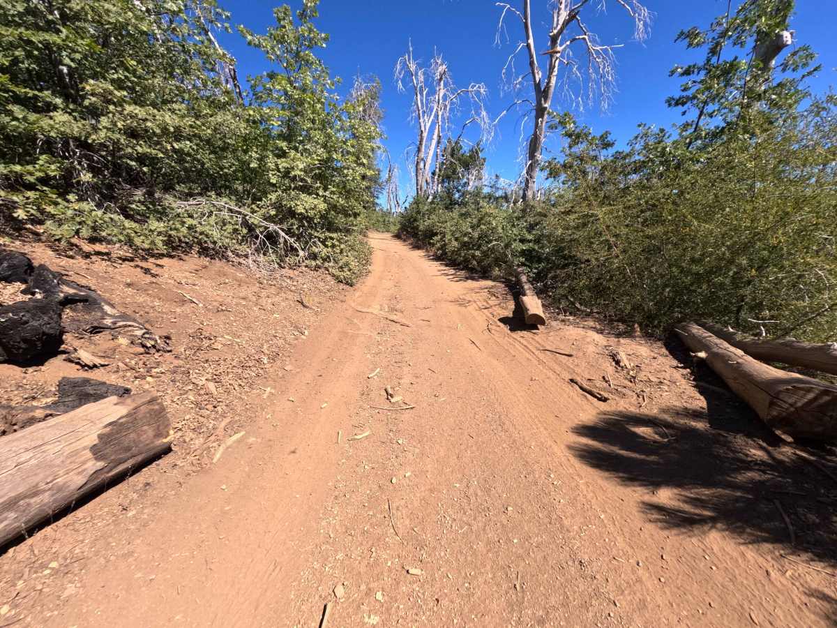 Linger Longer - FS 17N14 trail photo