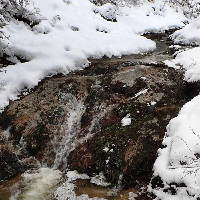 Near Naversen Family Trail
