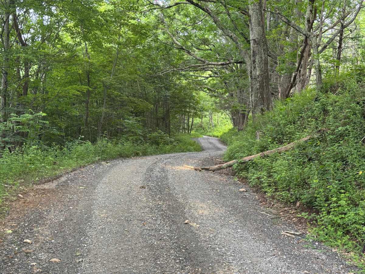 Sugar Creek Gap - FS 4665 photo 4
