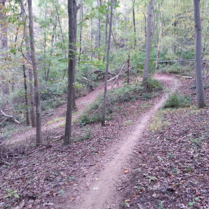 Near Sidetrack Trail