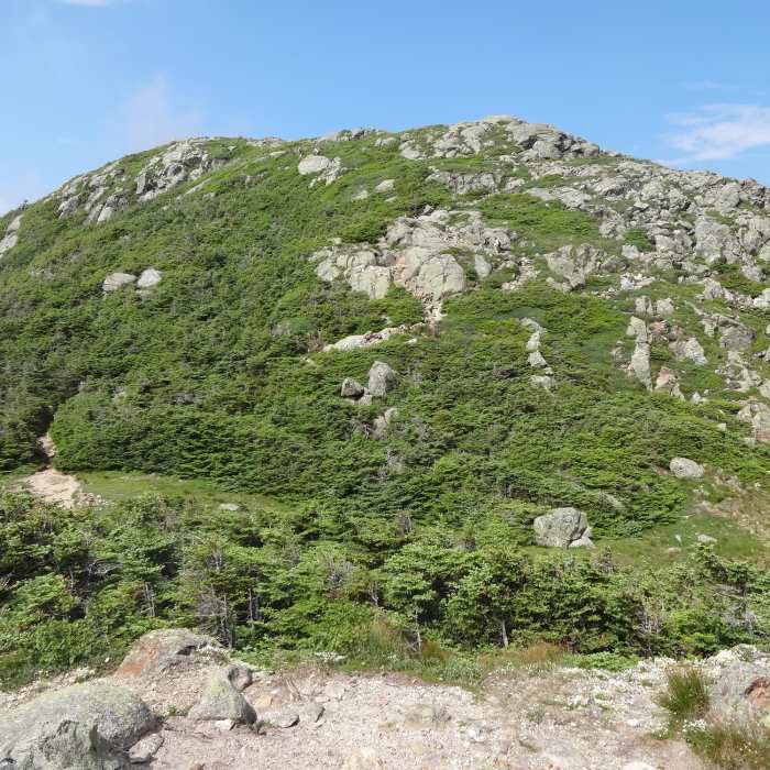 Looking up at Mt. Eisenhower from Edmands Path. A short but steep climb up Eisenhower loop to the top. Near Cohos Trail (White Mountain Section)