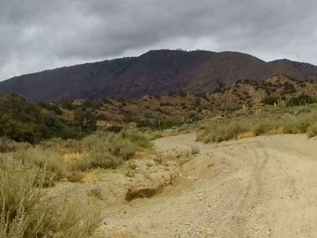 Old Cottonwood Trail photo 3