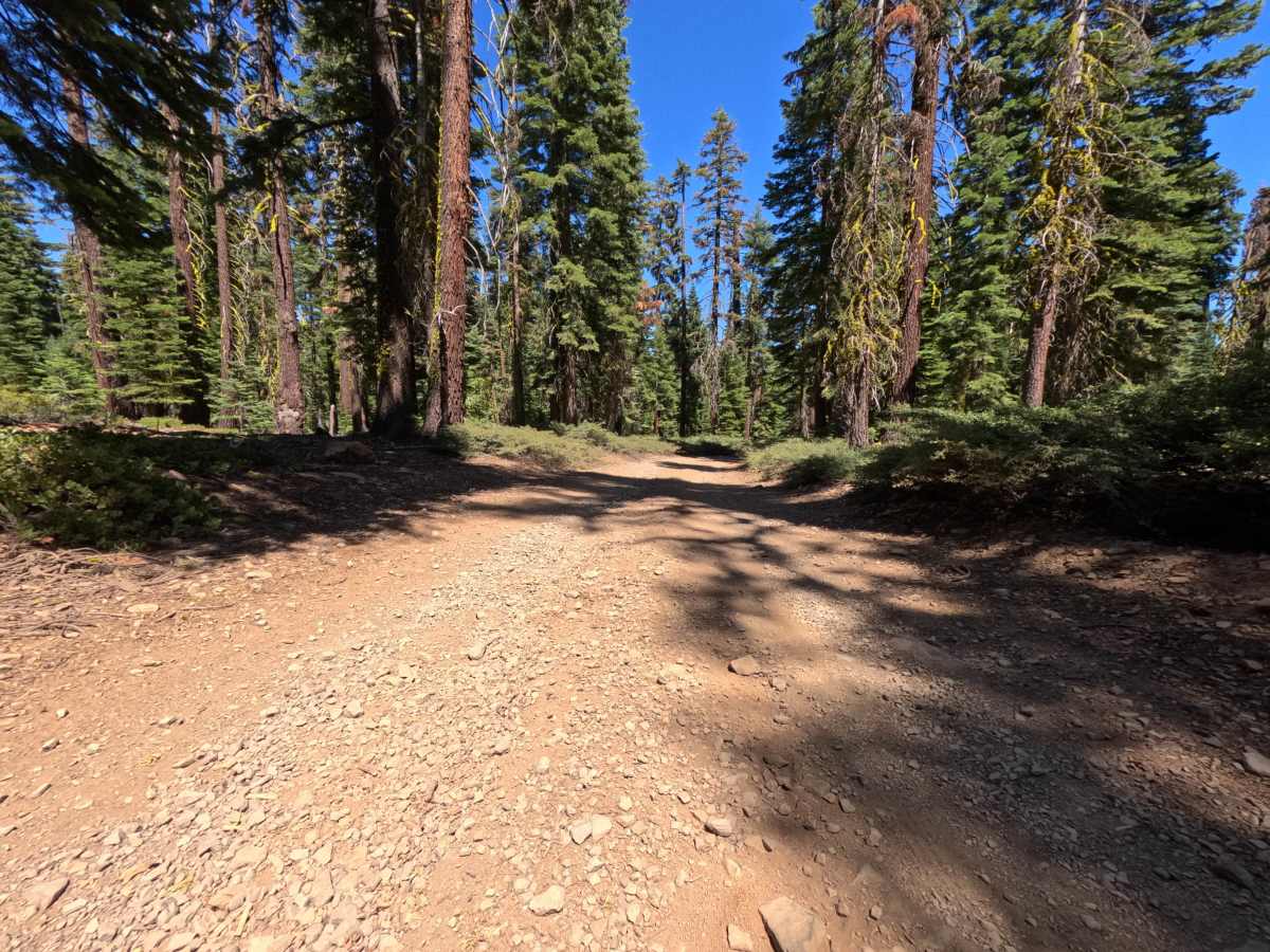 Watson Access - FS 16N71 photo 4