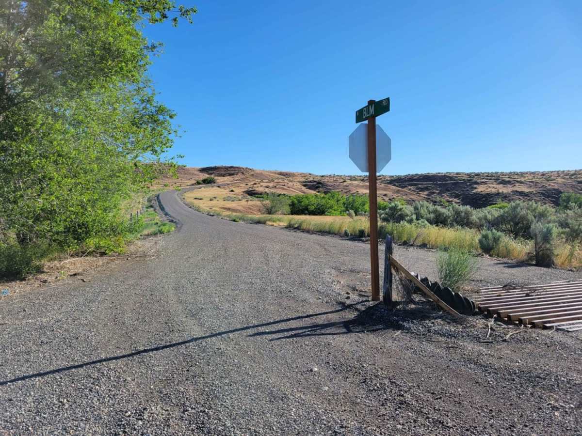 Dempsey Meadow photo 2