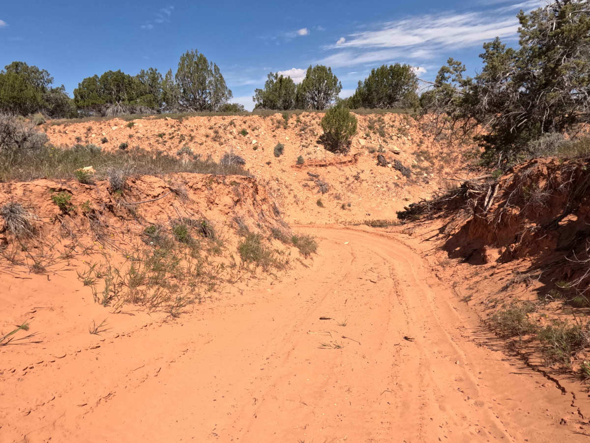 BLM 32k photo 2