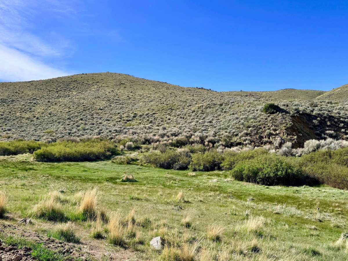Marshall Canyon - FS 43241 photo 2