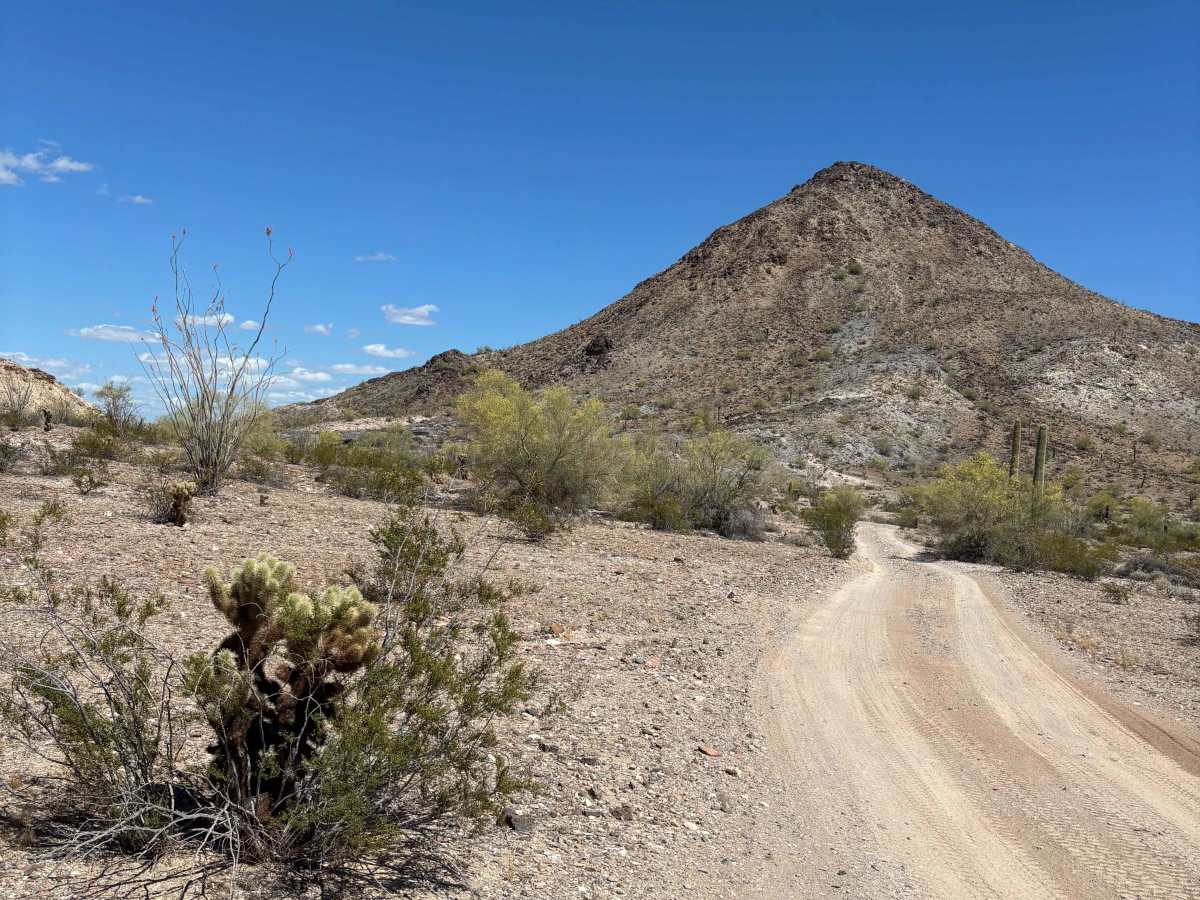 BLM 0130 photo 6