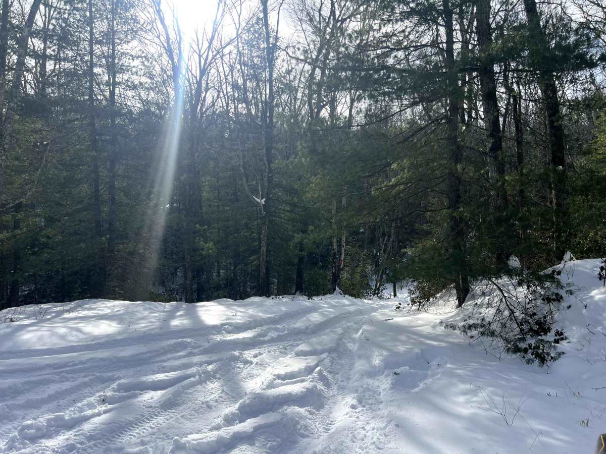 McElhenny Trail photo 5