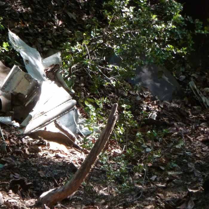 Near El Corte de Madera Highlights