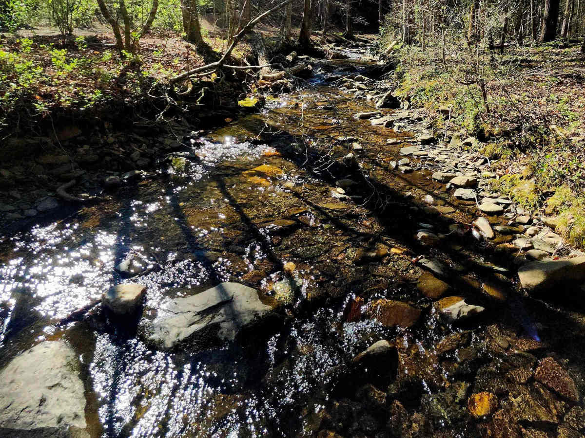 Branchwater Trail photo 2