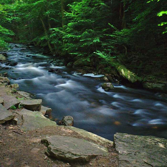 Even the routine sections of Rickets Glen State Park are quite beautiful! Near Falls Trail