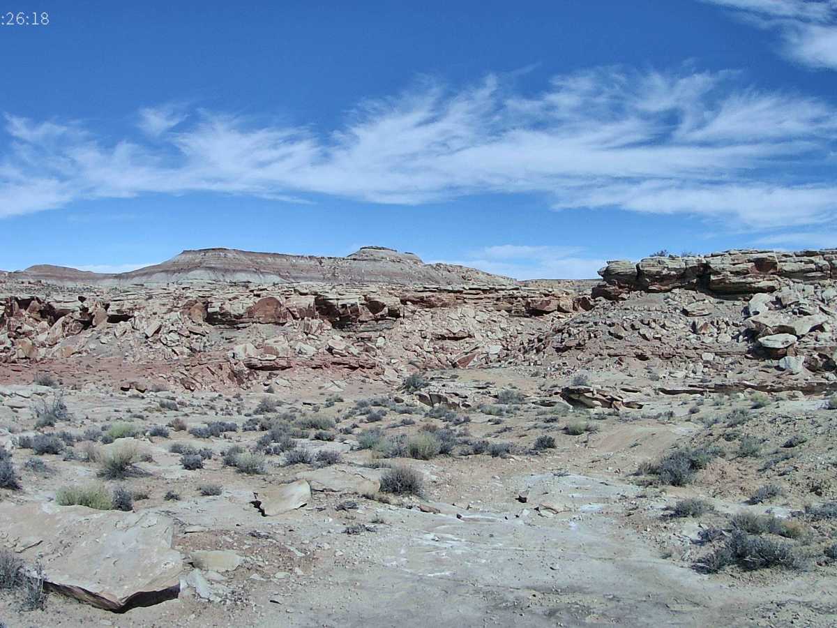 D3136 photo 3