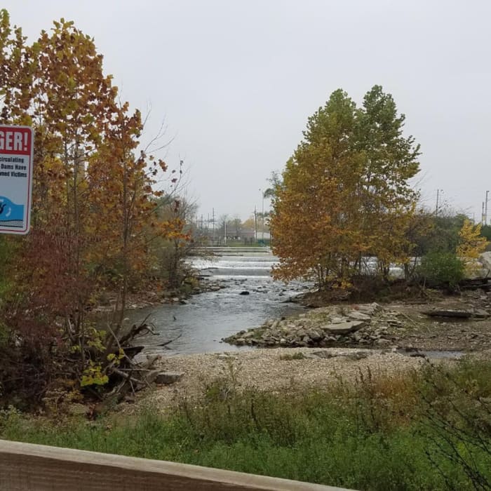 Swimming would not be a good idea Near Fall Creek Trail