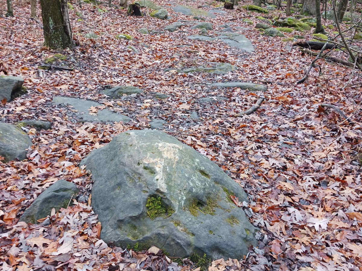 OHV 24 - Rock Run Recreation Area photo 6