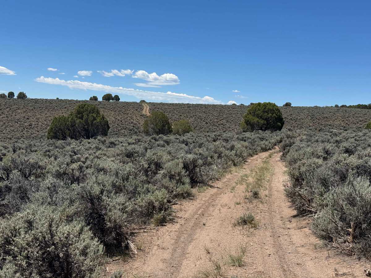BLM 8477C photo 3