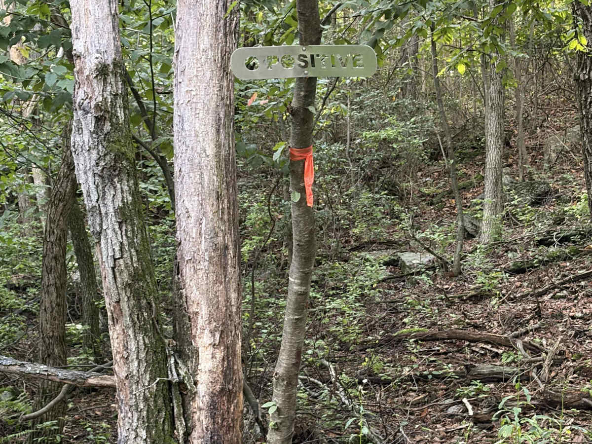 O Positive trail photo