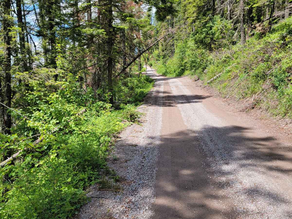 Jewel Basin Road trail photo