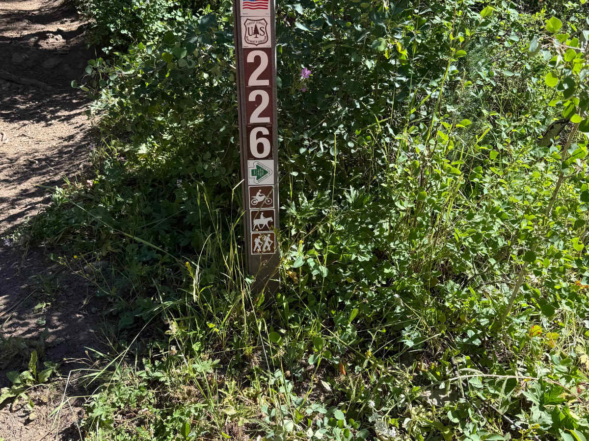 South Fork Canyon Creek - FS 226 photo 6