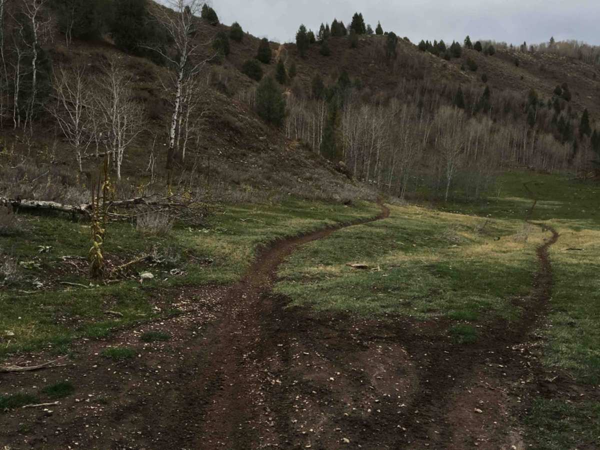 Old Ranger trail photo