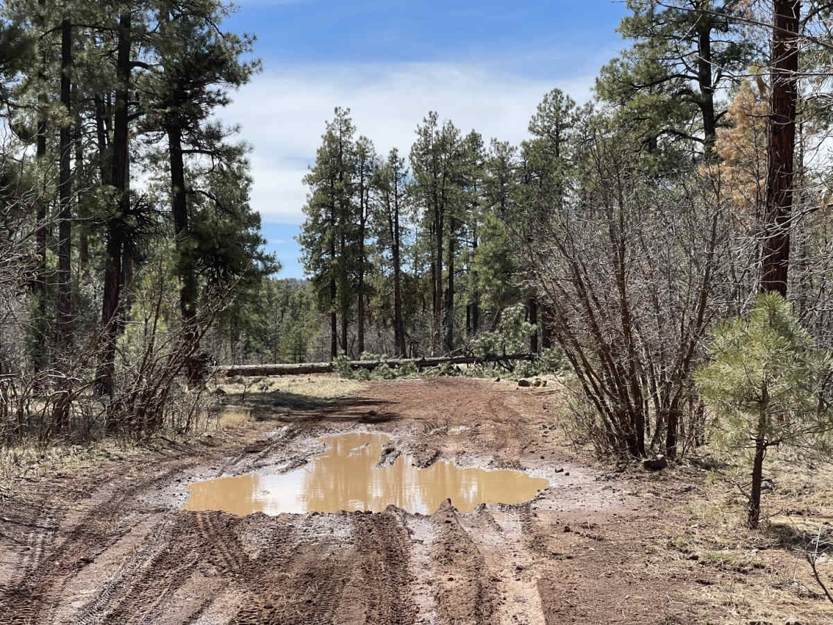 Little Rim Road photo 5