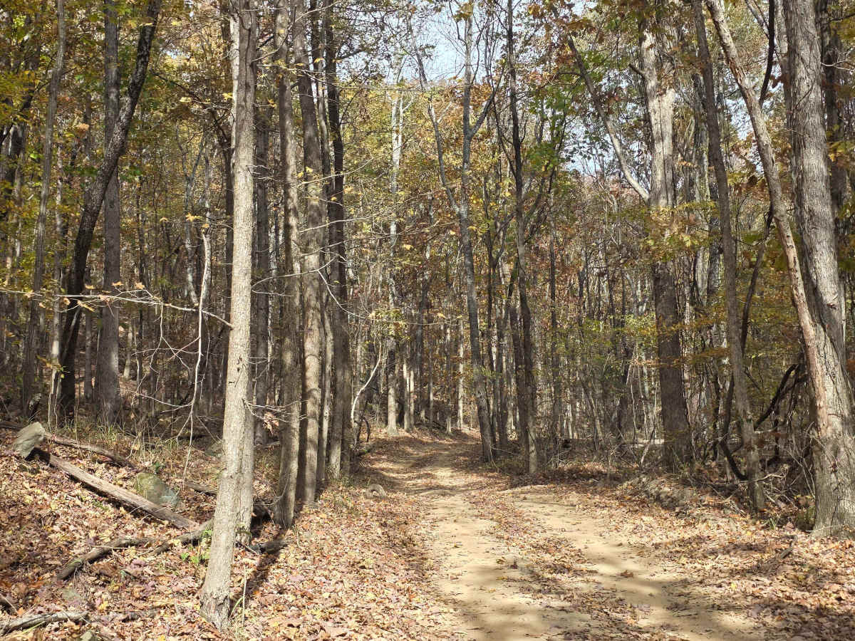 Bottom Of Bowl Loop photo 3