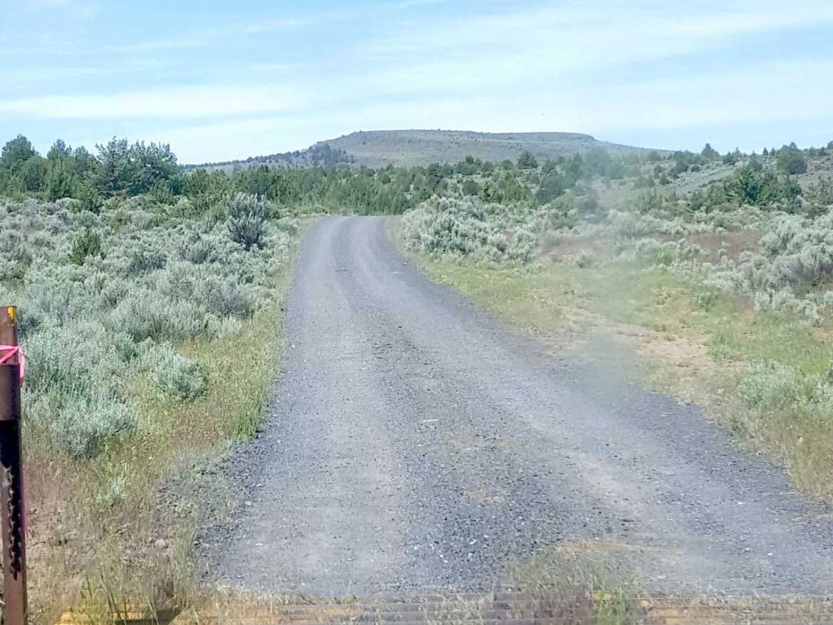 Skull Creek to Horton Mill Connector trail photo