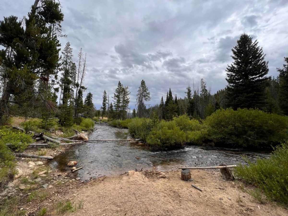 Elk Meadow Trailhead trail photo