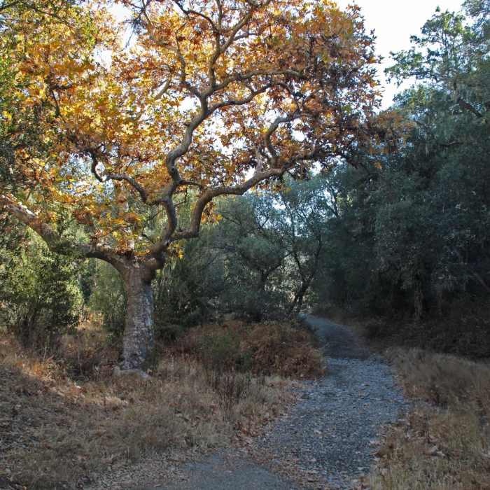 Near Hunting Hollow Road