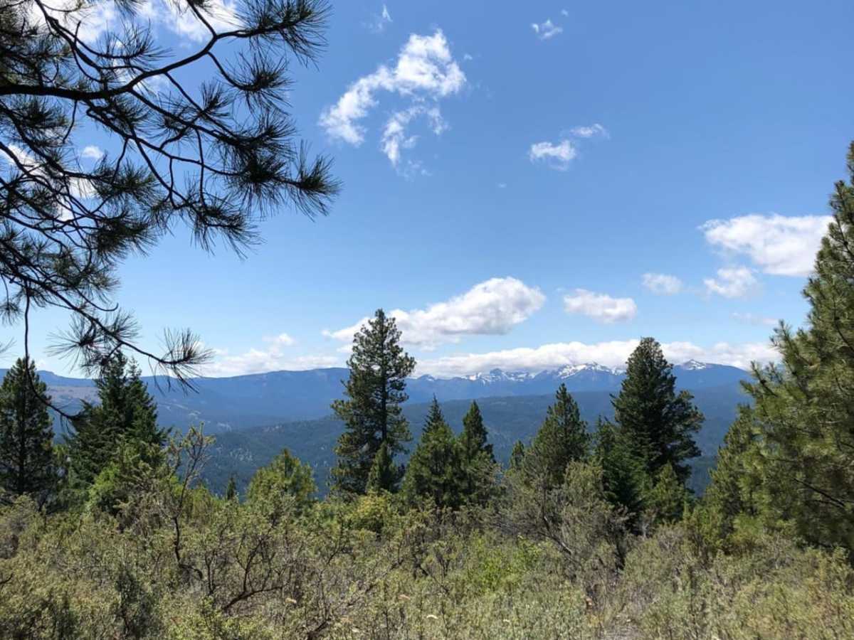Lower Mud Lake Road trail photo