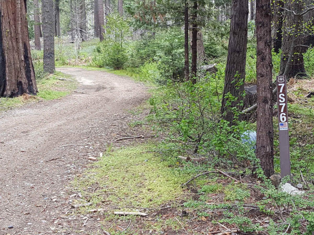 Ellis Meadow - FS 7S076 trail photo